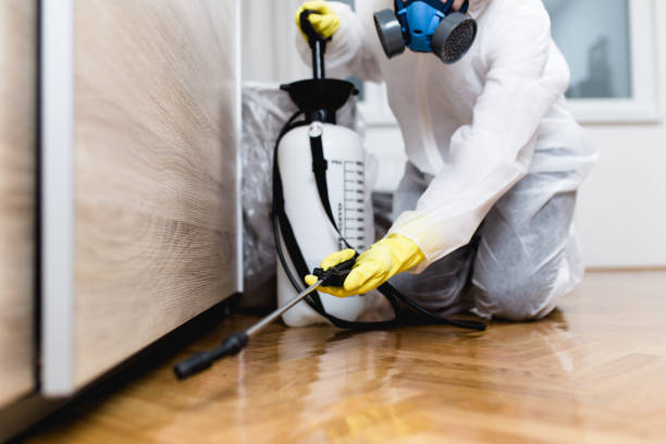Best Wasp Removal Services  in Potomac Park, CA
