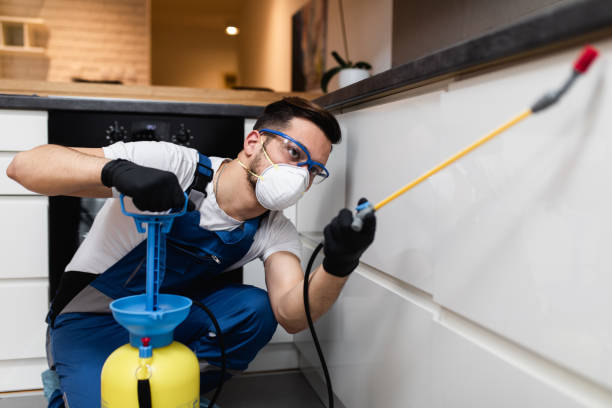 Best Local Pest Control Services  in Potomac Park, CA