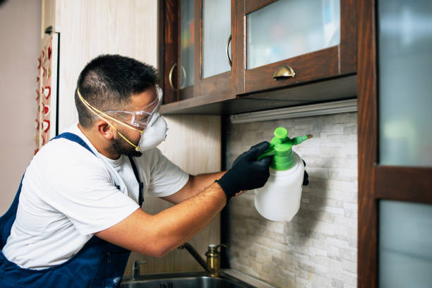 Best Residential Pest Control  in Potomac Park, CA
