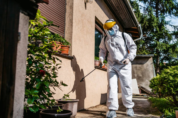 Flea Control Services in Potomac Park, CA