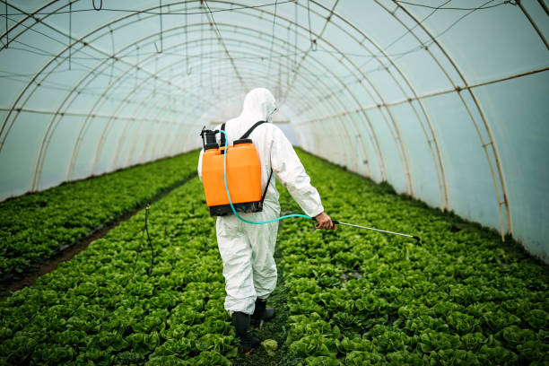 Reliable Potomac Park, CA Pest Control Solutions