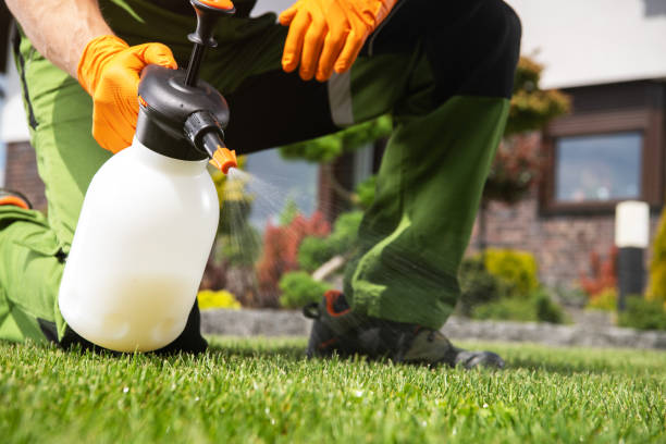 Best Bed Bug Extermination  in Potomac Park, CA