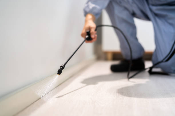 Best Pest Prevention Services  in Potomac Park, CA