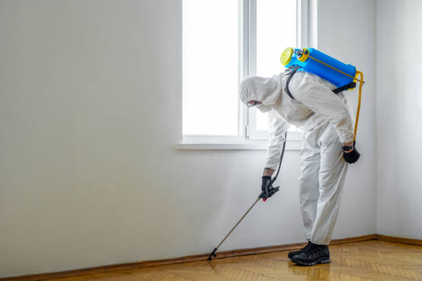 Pest Control for Restaurants in Potomac Park, CA