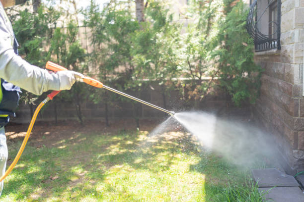 Best Rat Extermination Near Me  in Potomac Park, CA