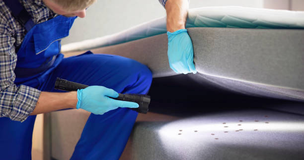 Best Affordable Pest Control Services  in Potomac Park, CA