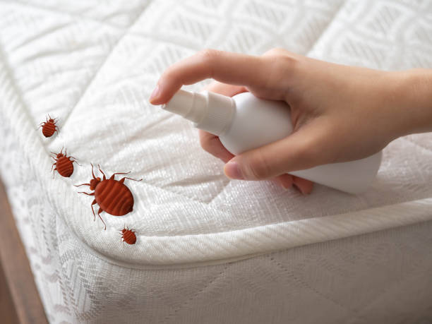 Best Exterminator Services  in Potomac Park, CA
