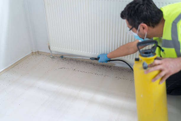 Best Cockroach Control Services  in Potomac Park, CA